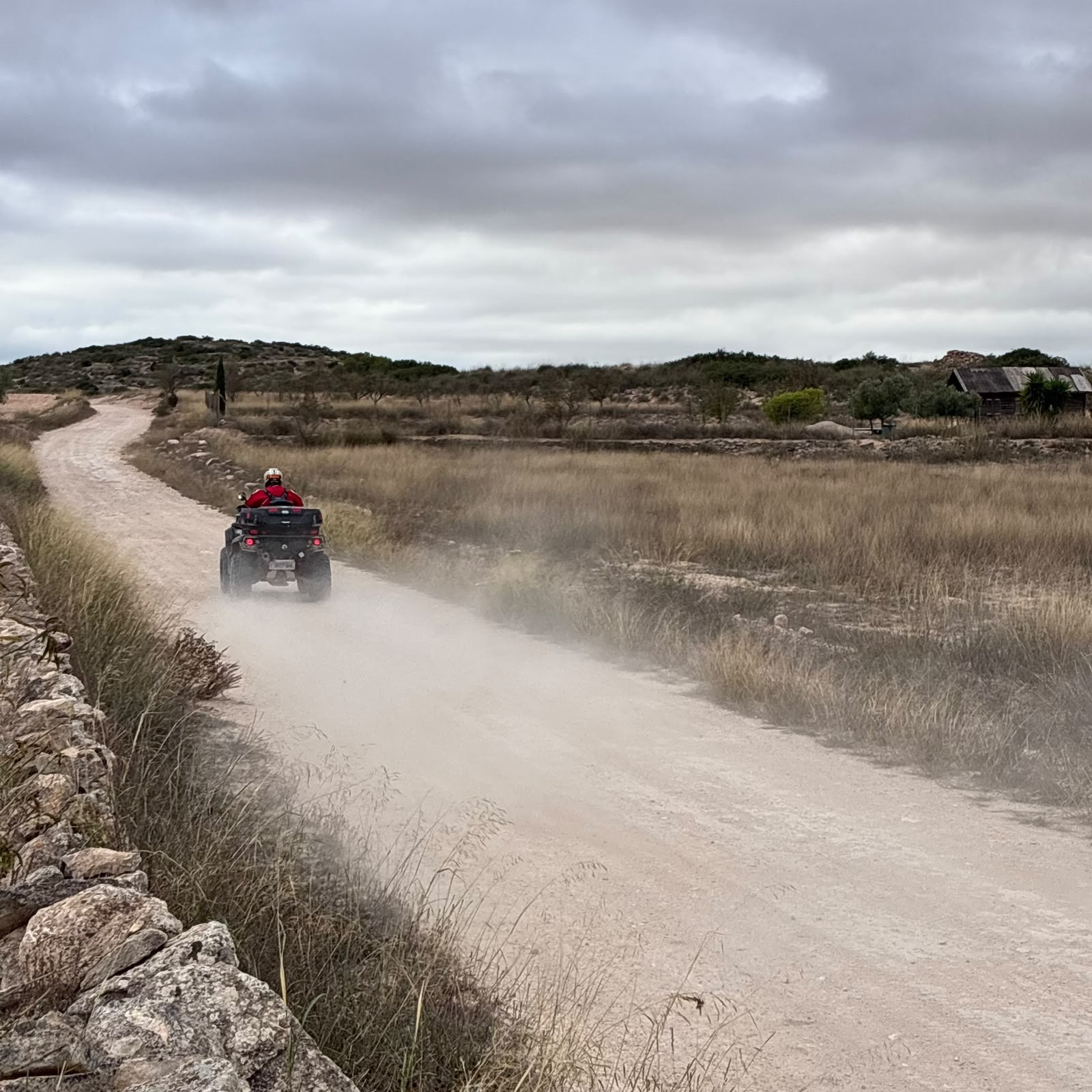 Ruta Viña Raid Pinoso · foto 4