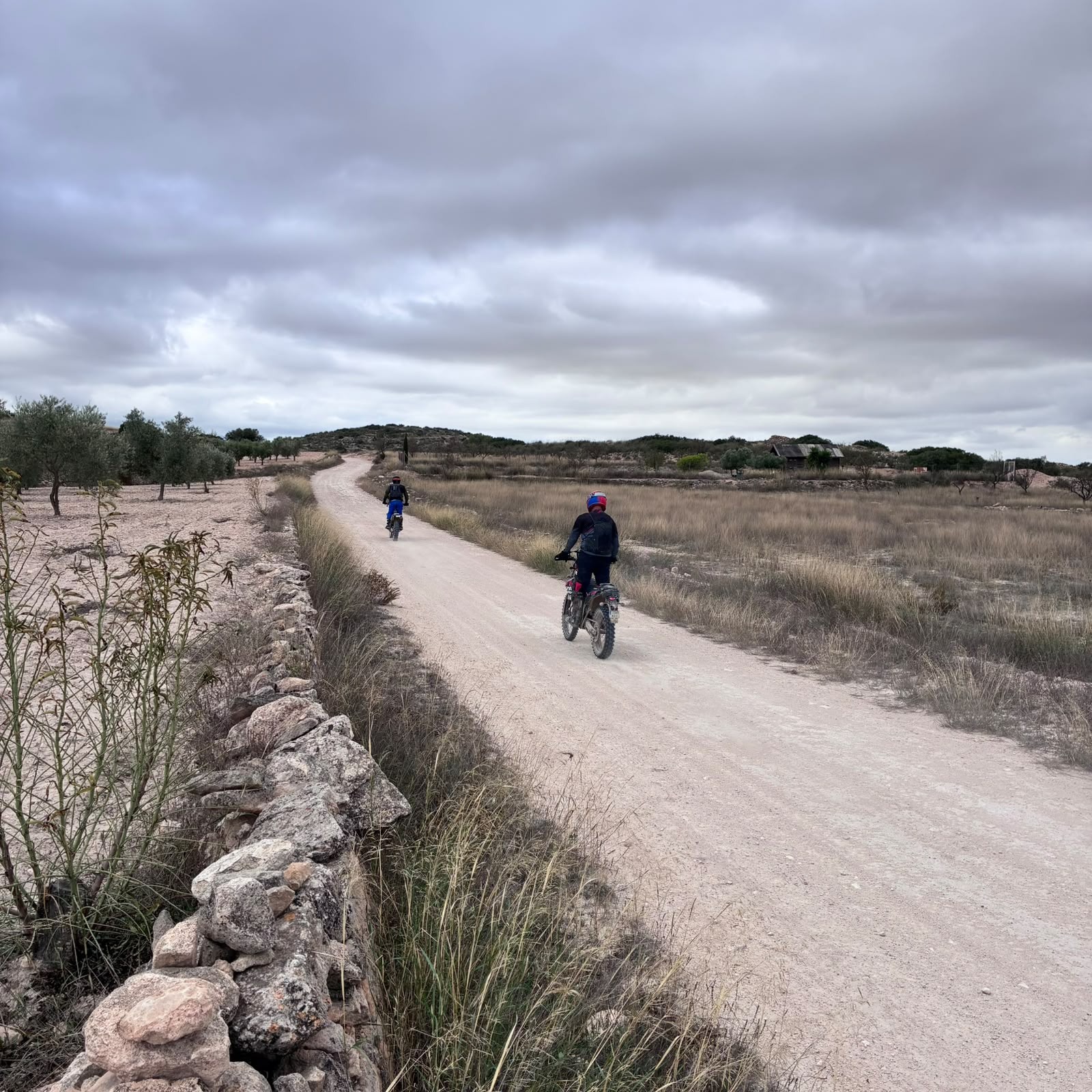 Ruta Viña Raid Pinoso · foto 6