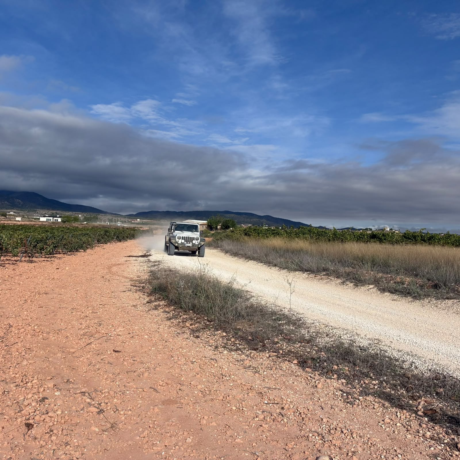 Ruta Viña Raid Pinoso · foto 32