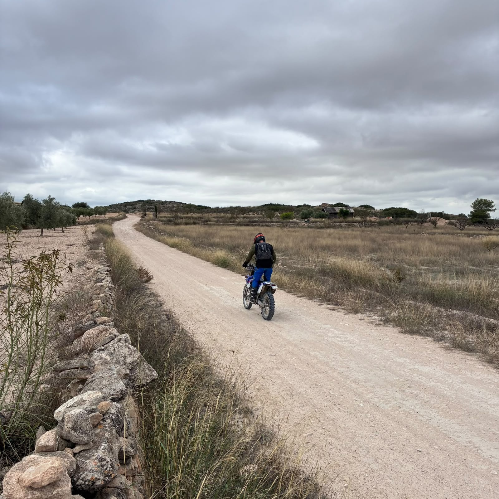 Ruta Viña Raid Pinoso · foto 33