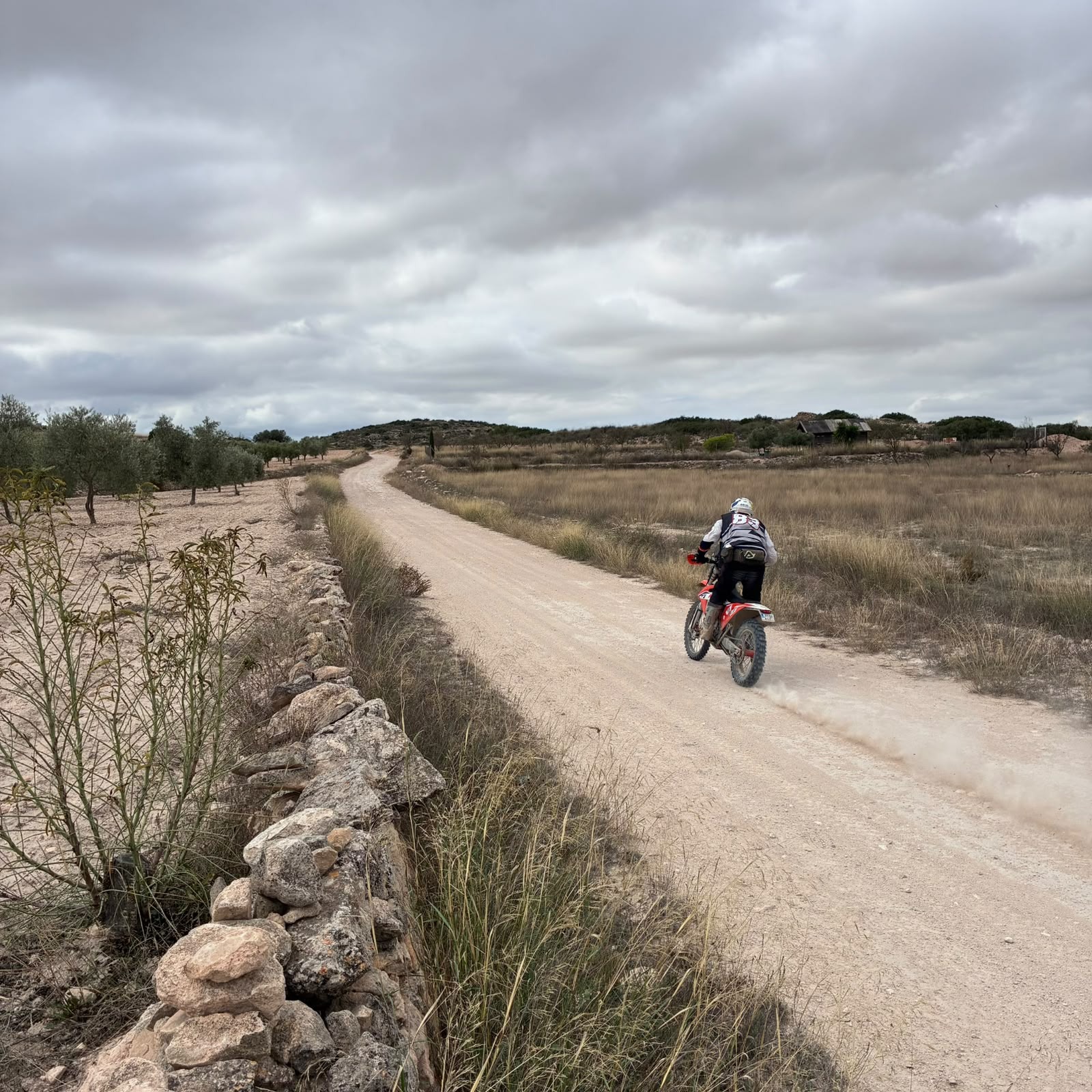 Ruta Viña Raid Pinoso · foto 10