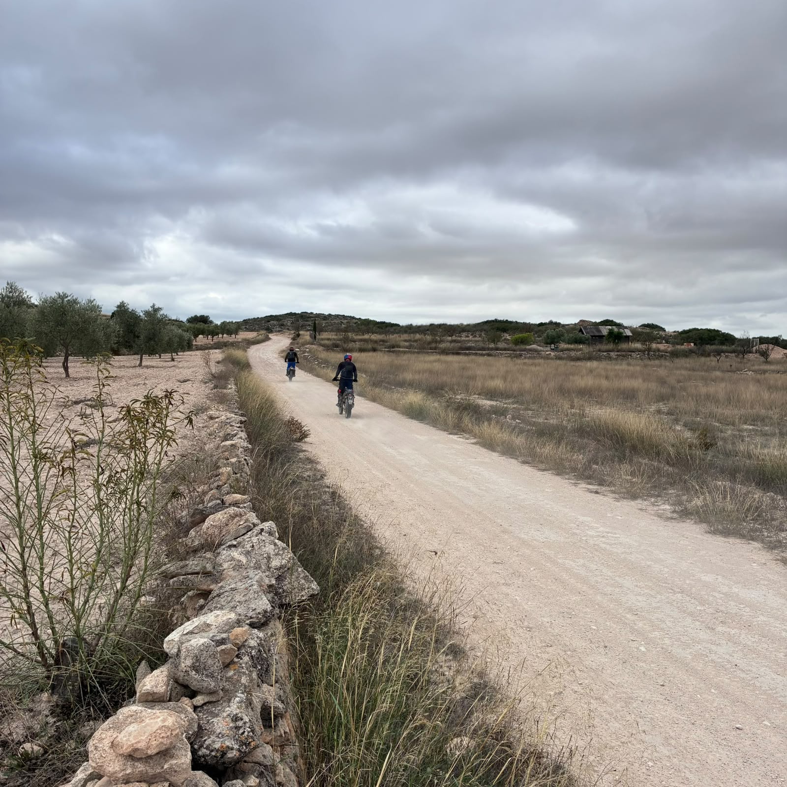 Ruta Viña Raid Pinoso · foto 12