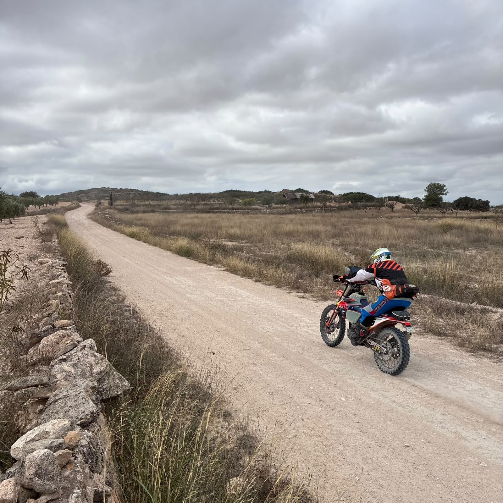 Ruta Viña Raid Pinoso · foto 15