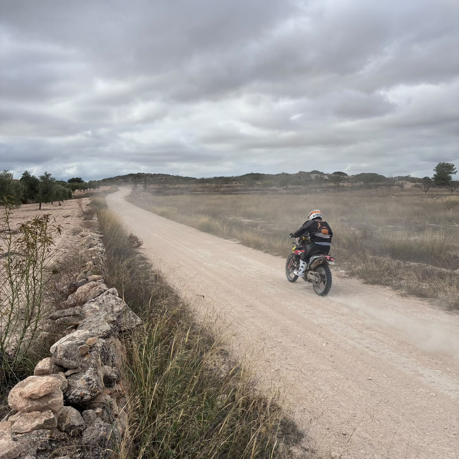 Ruta Viña Raid Pinoso · foto 13