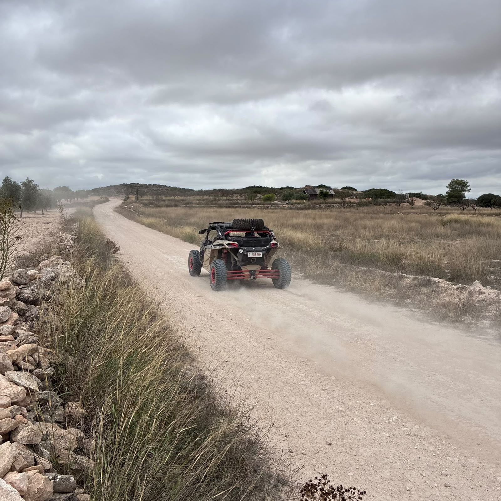 Ruta Viña Raid Pinoso · foto 11