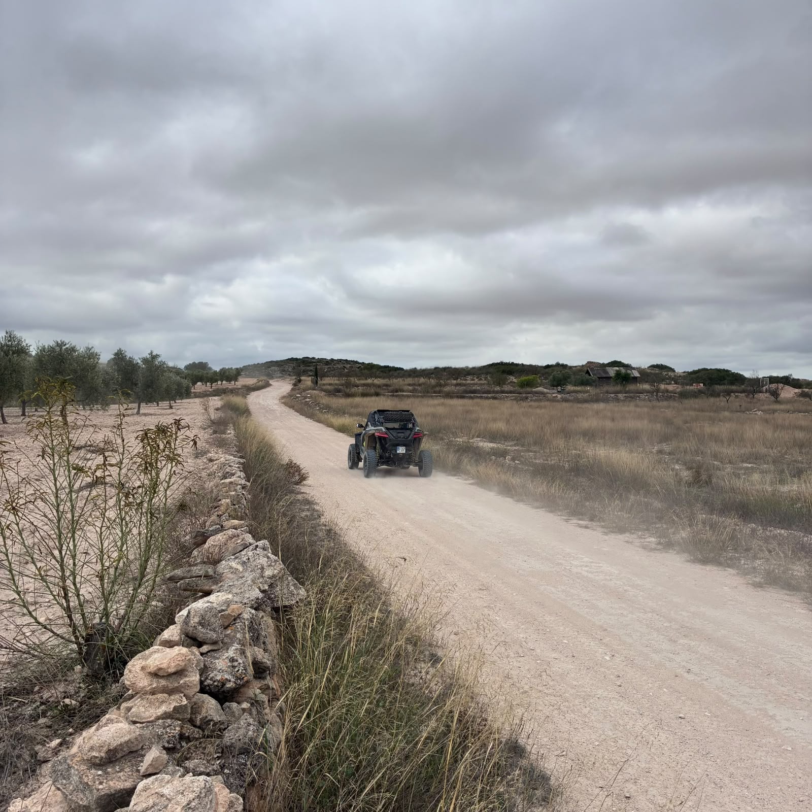 Ruta Viña Raid Pinoso · foto 5
