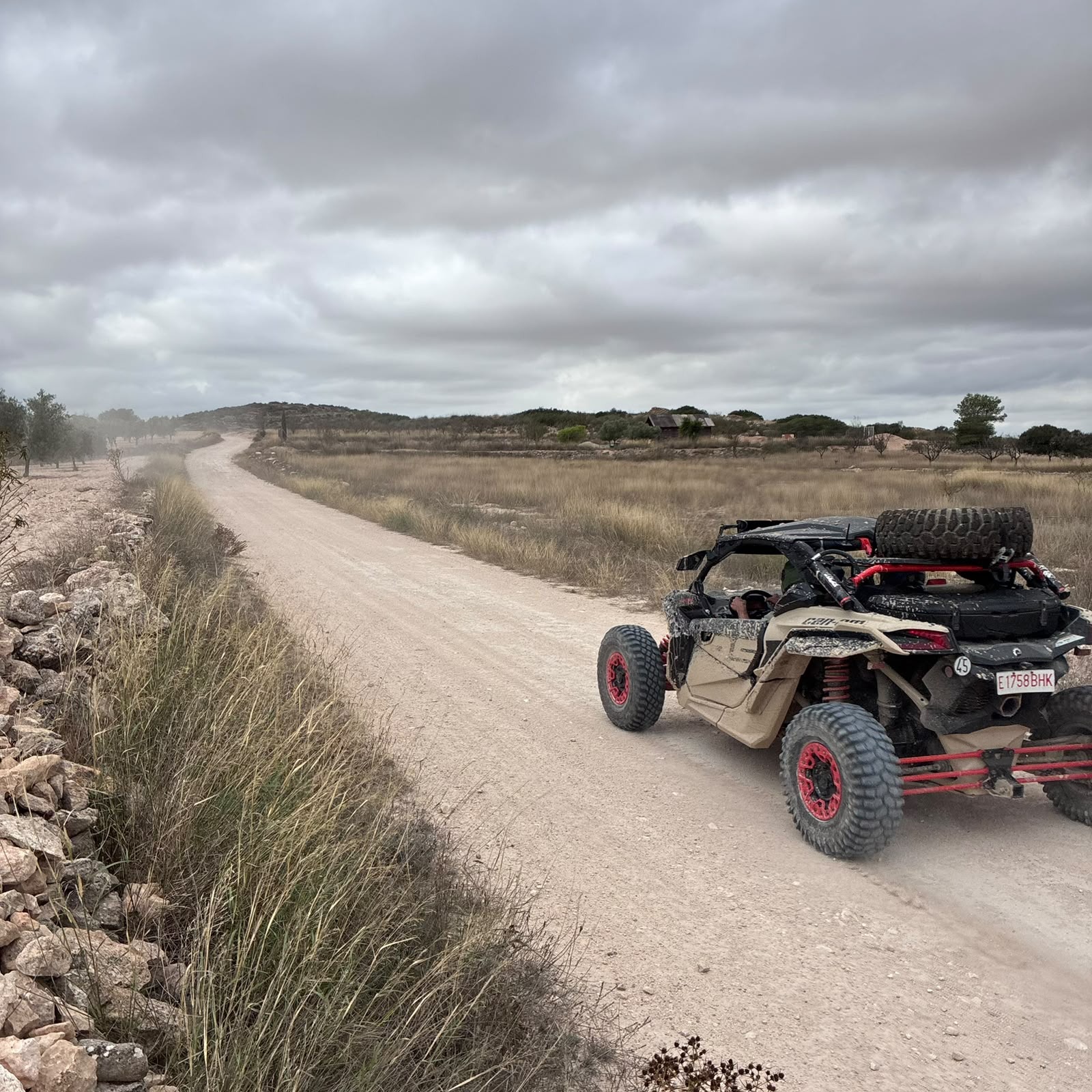 Ruta Viña Raid Pinoso · foto 8