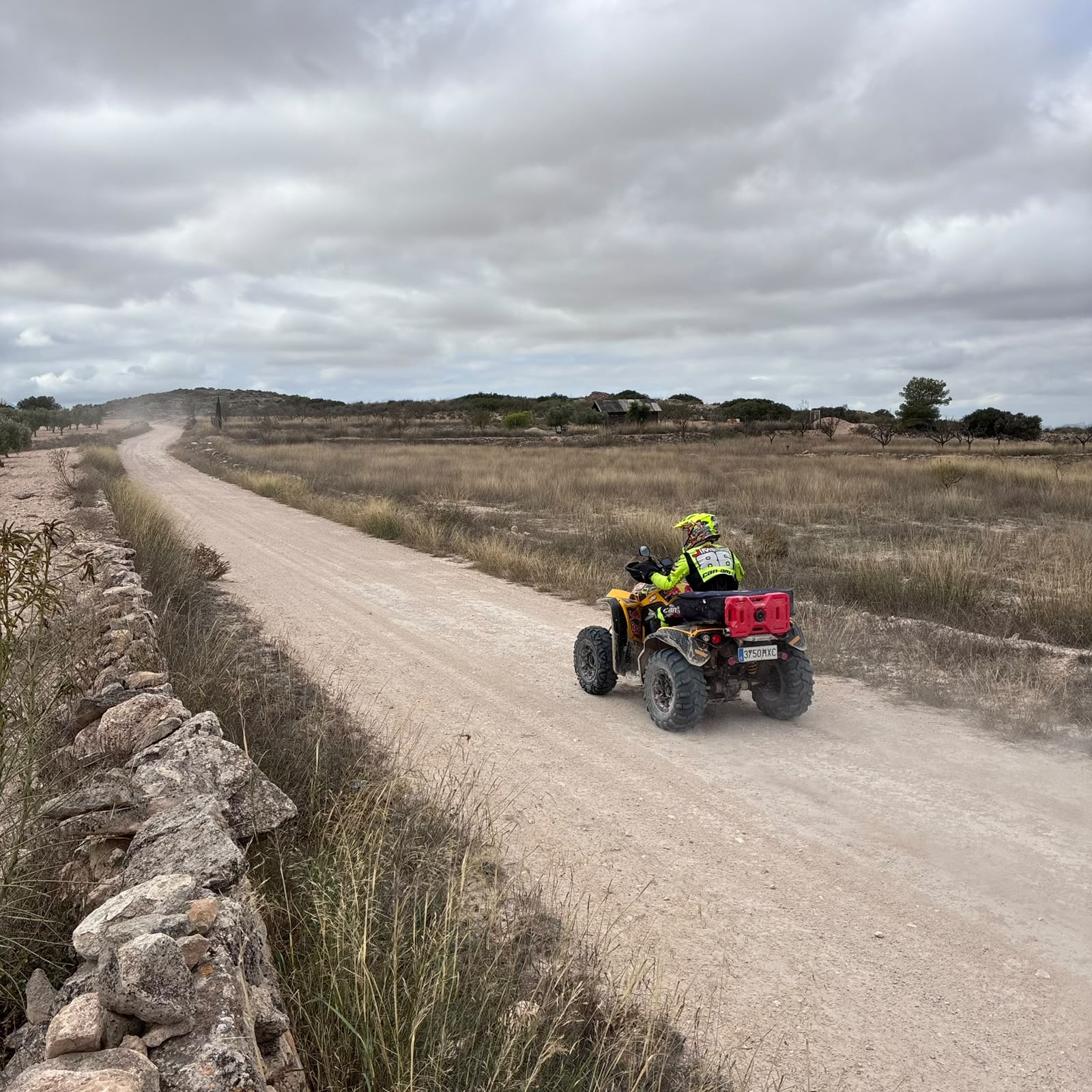 Ruta Viña Raid Pinoso · foto 14