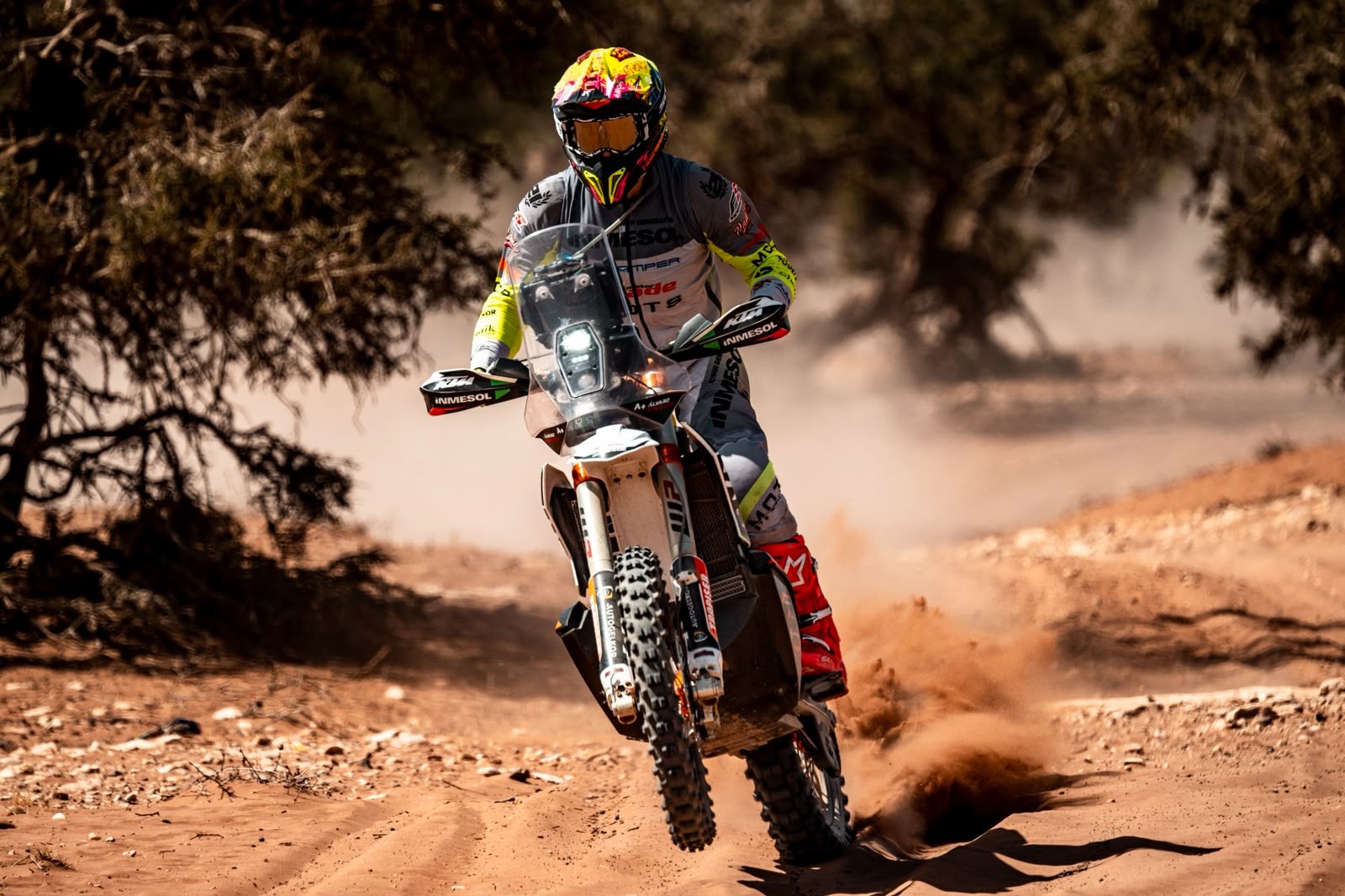 Quads del club en la montaña